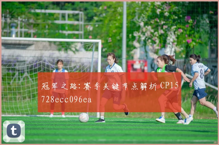 冠军之路:赛季关键节点解析 CP15728ecc096ea