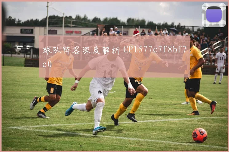 球队阵容深度解析 CP1577c7f8bf7c0
